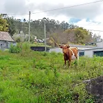 Appartamento Maria Canhas
