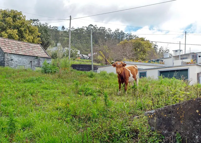 Maria 아파트 Canhas